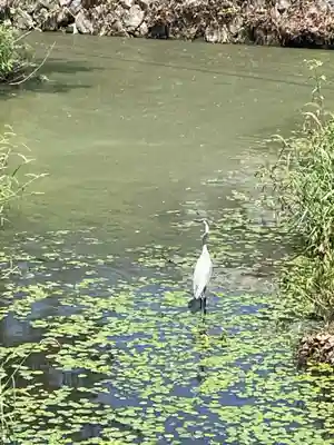 石清尾八幡宮(香川県)