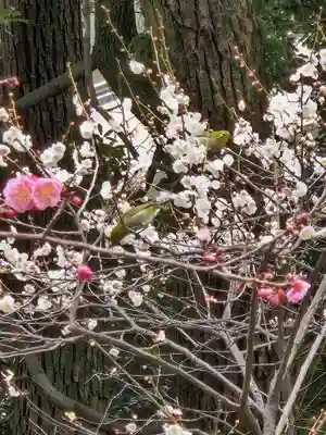 松山神社(大阪府)