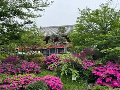 清水観音堂(東京都)