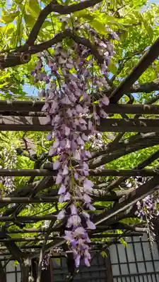 六孫王神社(京都府)