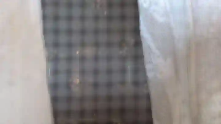 榧の木弘法堂(愛知県)