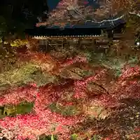 東福禅寺(東福寺)(京都府)