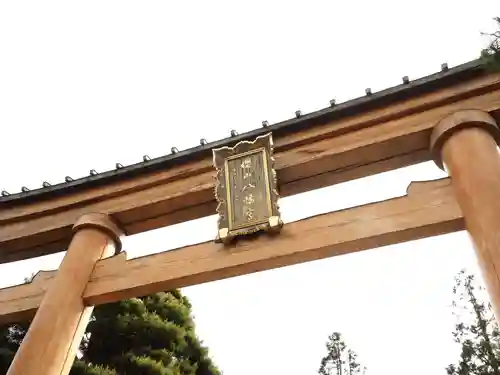 櫻山八幡宮の鳥居