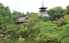 仁和寺の庭園