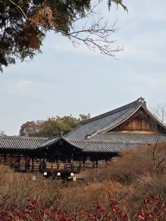 東福禅寺(東福寺)(京都府)