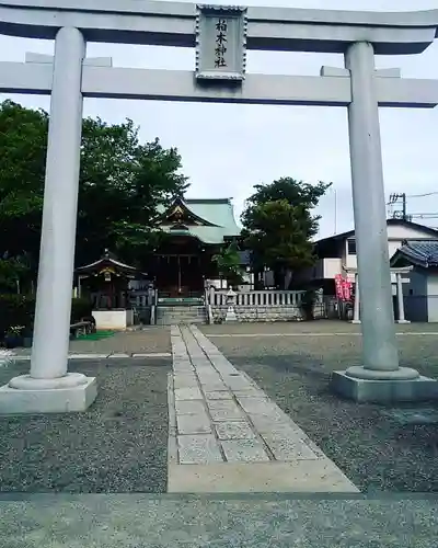 柏木神社の鳥居