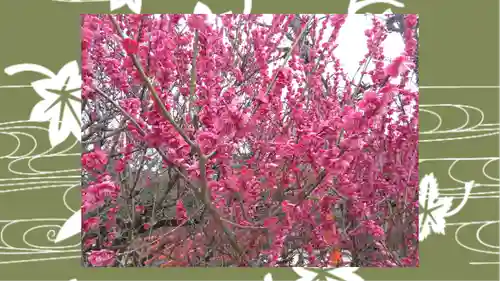 賀茂御祖神社（下鴨神社）(京都府)