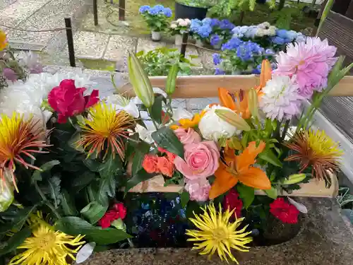 勝林寺(京都府)