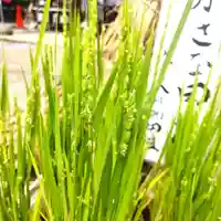 七重浜海津見神社(北海道)