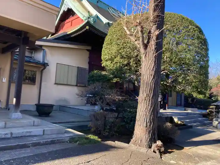 東福寺(神奈川県)