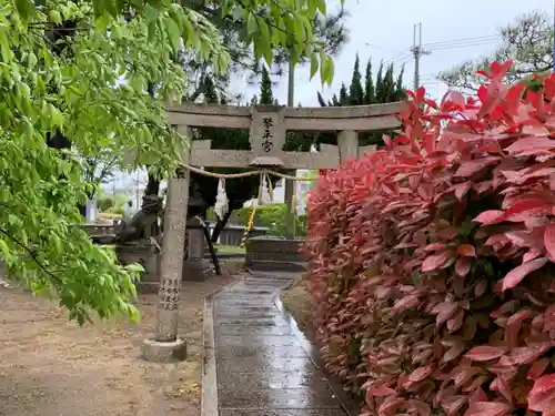 住吉神社の鳥居