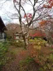 常寂光寺の自然