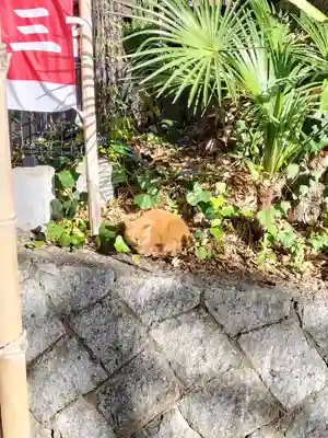 上宮天満宮(大阪府)