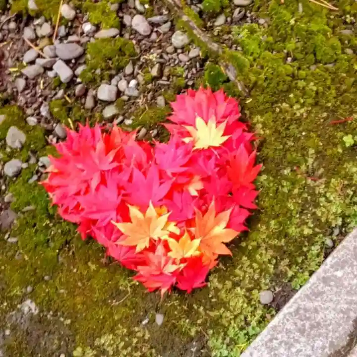 彌彦神社 (伊夜日子神社)(北海道)