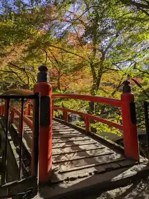 湯元 隻腕不動尊(伊香保温泉)の周辺