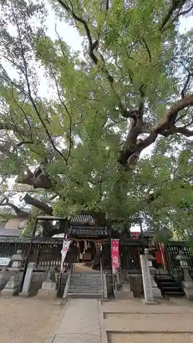 三島神社(大阪府)
