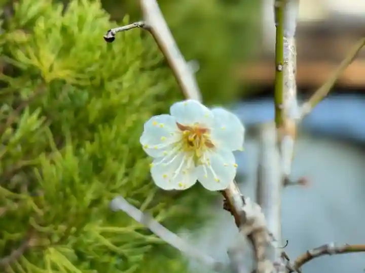 伊勢の国 四天王寺(三重県)