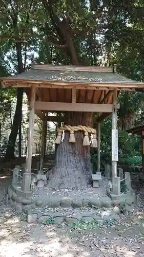 三ケ尻八幡神社の自然
