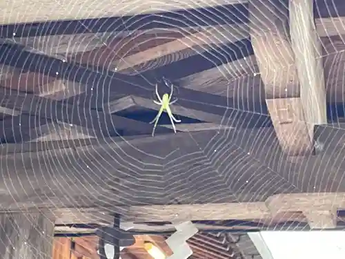 丹生川上神社（下社）(奈良県)