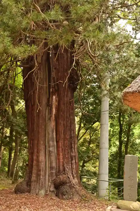 西明寺(栃木県)