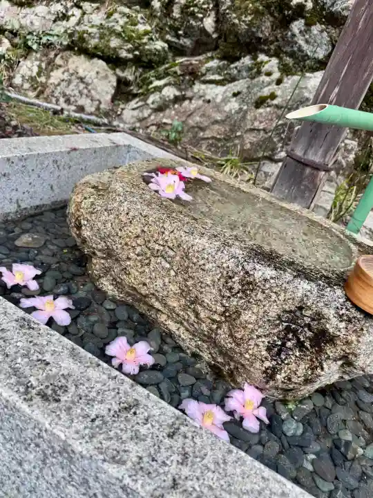 石座神社の{uncategorized: "未分類", other: "その他", undefined: "問題あり", building: "その他建物", grave: "お墓", sacred_gate: "鳥居", guardian: "狛犬", statue: "像", buddha: "仏像", history: "歴史", nature: "自然", garden: "庭園", animal: "動物", pagoda: "塔", temizu: "手水舎", mountain_gate: "山門・神門", sanctuary: "本殿・本堂", subordinate: "末社・摂社", art: "芸術", scenery: "景色", jizo: "地蔵", ema: "絵馬", goshuin: "御朱印", omikuji: "おみくじ", items: "授与品その他", amulet: "お守り", goshuincho: "御朱印帳", eats: "食事", festival: "お祭り", votive_dance: "神楽", shichigosan: "七五三参", wedding: "結婚式", experience: "体験その他", initially: "初詣", around: "周辺", anti_infection: "感染症対策"}