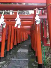 佐助稲荷神社の鳥居