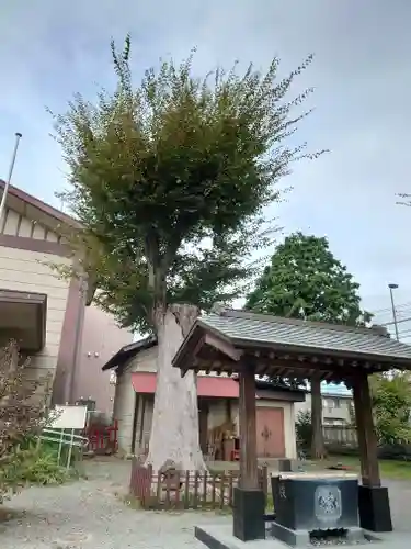 日野八坂神社(東京都)