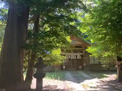 樂樂福神社(鳥取県)