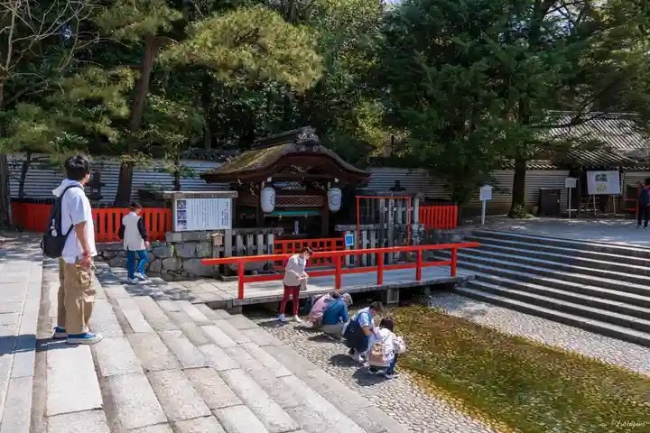 賀茂御祖神社(下鴨神社)(京都府)