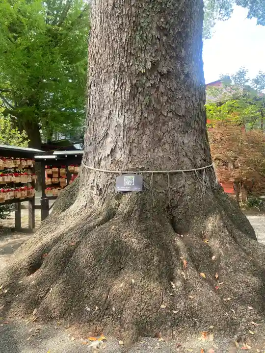 冠稲荷神社の{uncategorized: "未分類", other: "その他", undefined: "問題あり", building: "その他建物", grave: "お墓", sacred_gate: "鳥居", guardian: "狛犬", statue: "像", buddha: "仏像", history: "歴史", nature: "自然", garden: "庭園", animal: "動物", pagoda: "塔", temizu: "手水舎", mountain_gate: "山門・神門", sanctuary: "本殿・本堂", subordinate: "末社・摂社", art: "芸術", scenery: "景色", jizo: "地蔵", ema: "絵馬", goshuin: "御朱印", omikuji: "おみくじ", items: "授与品その他", amulet: "お守り", goshuincho: "御朱印帳", eats: "食事", festival: "お祭り", votive_dance: "神楽", shichigosan: "七五三参", wedding: "結婚式", experience: "体験その他", initially: "初詣", around: "周辺", anti_infection: "感染症対策"}