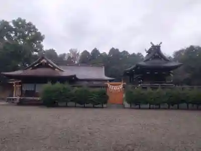 鷲宮神社(埼玉県)