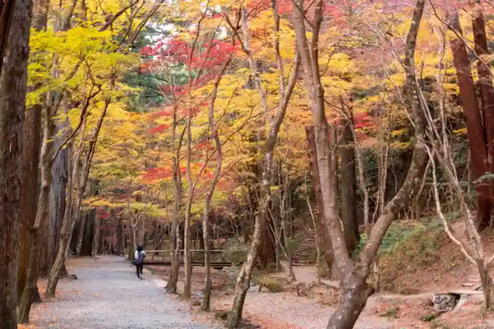 小國神社(静岡県)