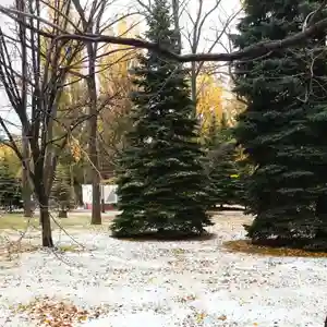 彌彦神社 (伊夜日子神社)の庭園(2023年11月14日(火) 12時24分03秒投稿)