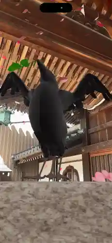 東海市熊野神社の{uncategorized: "未分類", other: "その他", undefined: "問題あり", building: "その他建物", grave: "お墓", sacred_gate: "鳥居", guardian: "狛犬", statue: "像", buddha: "仏像", history: "歴史", nature: "自然", garden: "庭園", animal: "動物", pagoda: "塔", temizu: "手水舎", mountain_gate: "山門・神門", sanctuary: "本殿・本堂", subordinate: "末社・摂社", art: "芸術", scenery: "景色", jizo: "地蔵", ema: "絵馬", goshuin: "御朱印", omikuji: "おみくじ", items: "授与品その他", amulet: "お守り", goshuincho: "御朱印帳", eats: "食事", festival: "お祭り", votive_dance: "神楽", shichigosan: "七五三参", wedding: "結婚式", experience: "体験その他", initially: "初詣", around: "周辺", anti_infection: "感染症対策"}