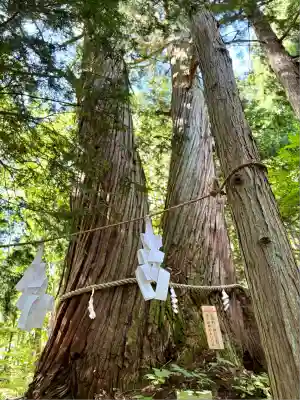 戸隠神社火之御子社(長野県)
