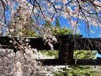 山家神社の鳥居