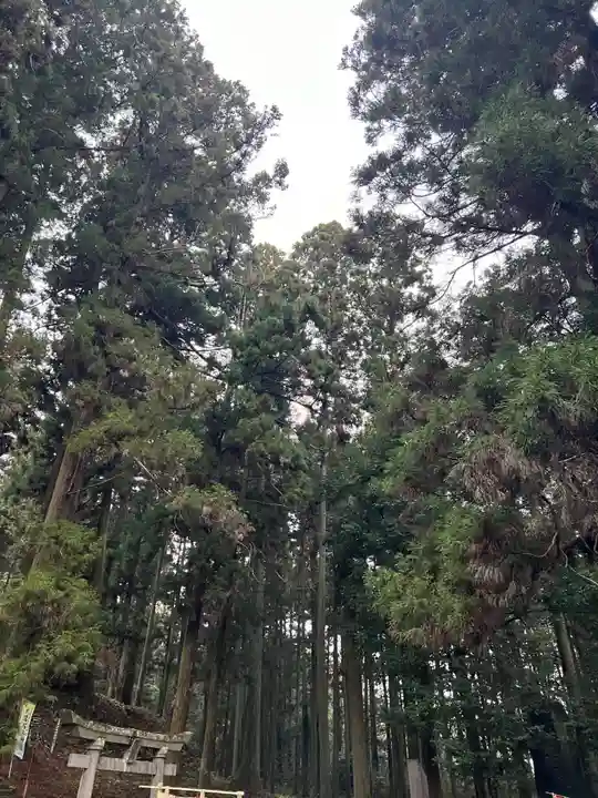 大宮温泉神社(栃木県)