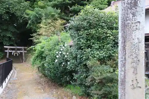 田村神社の鳥居