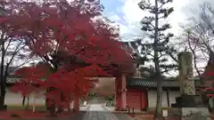 真正極楽寺（真如堂）の山門