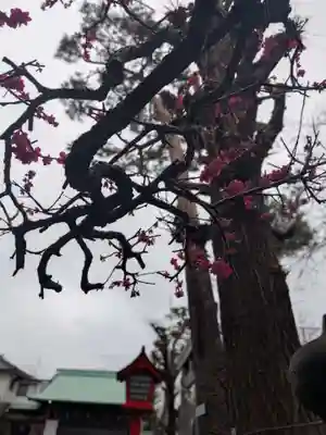 久富稲荷神社(東京都)