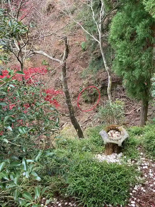 大山寺の建物その他