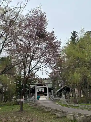 上川神社頓宮(北海道)