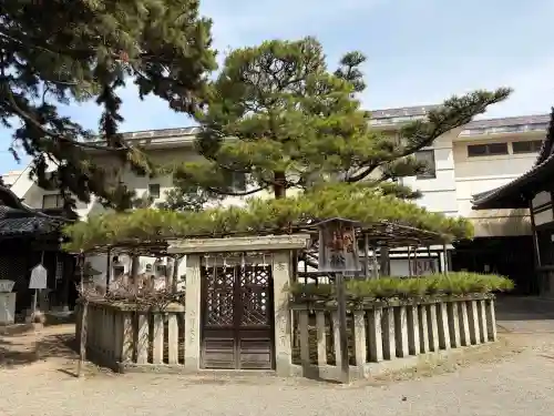高砂神社の{uncategorized: "未分類", other: "その他", undefined: "問題あり", building: "その他建物", grave: "お墓", sacred_gate: "鳥居", guardian: "狛犬", statue: "像", buddha: "仏像", history: "歴史", nature: "自然", garden: "庭園", animal: "動物", pagoda: "塔", temizu: "手水舎", mountain_gate: "山門・神門", sanctuary: "本殿・本堂", subordinate: "末社・摂社", art: "芸術", scenery: "景色", jizo: "地蔵", ema: "絵馬", goshuin: "御朱印", omikuji: "おみくじ", items: "授与品その他", amulet: "お守り", goshuincho: "御朱印帳", eats: "食事", festival: "お祭り", votive_dance: "神楽", shichigosan: "七五三参", wedding: "結婚式", experience: "体験その他", initially: "初詣", around: "周辺", anti_infection: "感染症対策"}