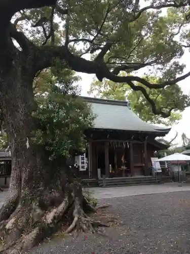 北岡神社の本殿・本堂