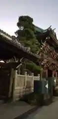 題経寺（柴又帝釈天）の建物その他