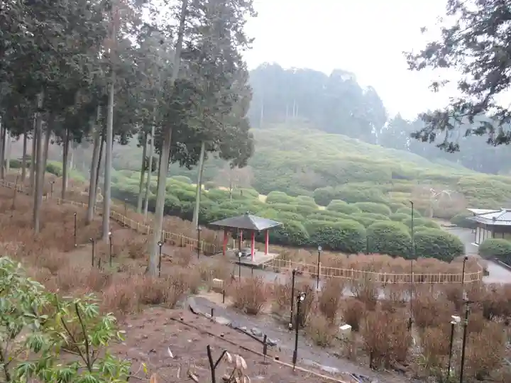 三室戸寺(京都府)