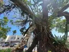 野島神社(宮崎県)