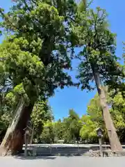 伊勢神宮外宮（豊受大神宮）の建物その他