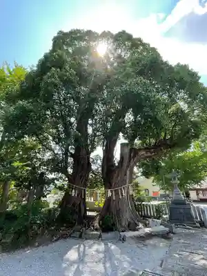 風治八幡宮(福岡県)