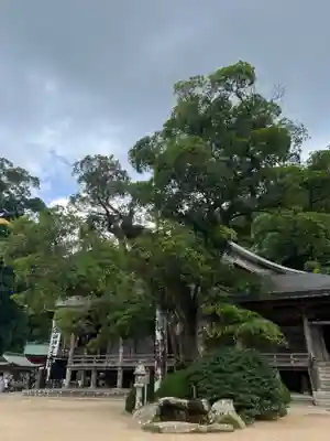 青岸渡寺(和歌山県)